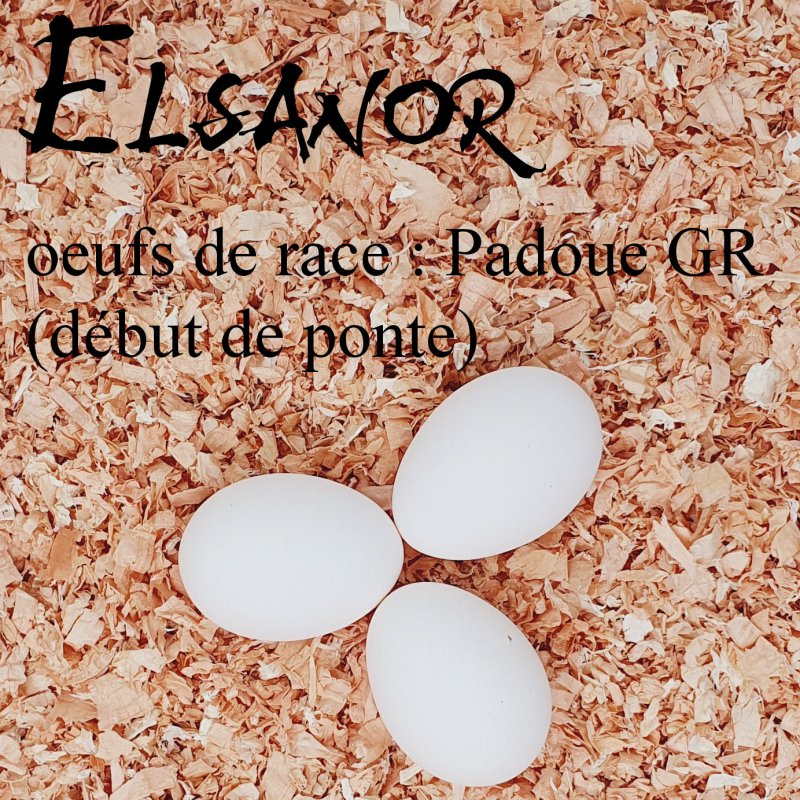 vitrine_race.imgOeufAlt